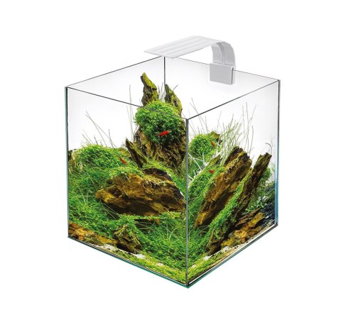 LED CUBE 25 White LED CUBE 25 White