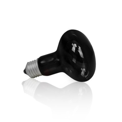 Żarówka Terra Night Heat Black 60W Żarówka Terra Night Heat Black 60W