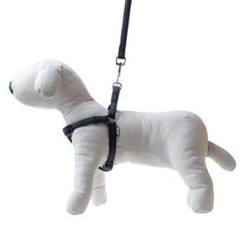 Smycz+szelki Soft Style Happet czarne odblask M 1.5cm Smycz+szelki Soft Style Happet czarne odblask M 1.5cm