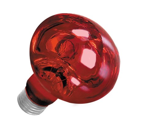 Żarówka Terra Night Heat Happet 75W Żarówka Terra Night Heat Happet 75W