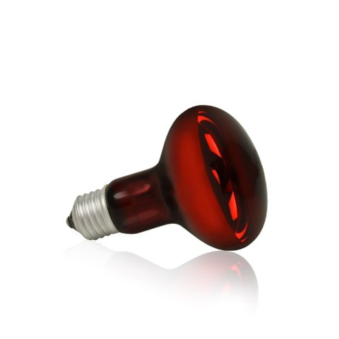 Żarówka Terra Night Heat Happet 75W Żarówka Terra Night Heat Happet 75W