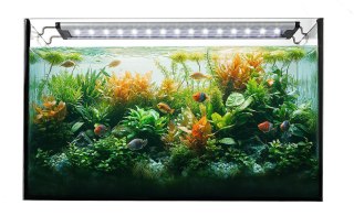 Lampa AquaLED Happet LB30 38W/142cm