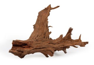 Korzeń MANGROWIEC M Happet 20-25 cm