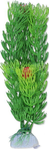 Roślina blister 20cm 2b50 Happet Roślina blister 20cm 2b50 Happet