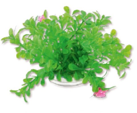 Roślina folia 10cm 1f18 Happet Roślina folia 10cm 1f18 Happet