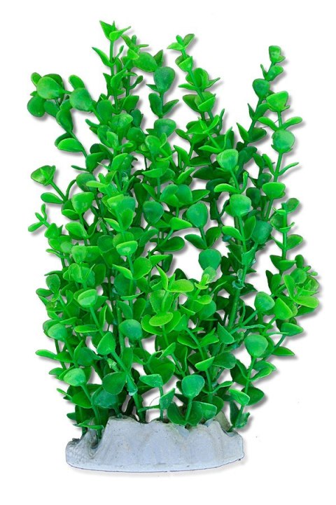 Roślina folia Happet 2f13 20cm Roślina folia Happet 2f13 20cm