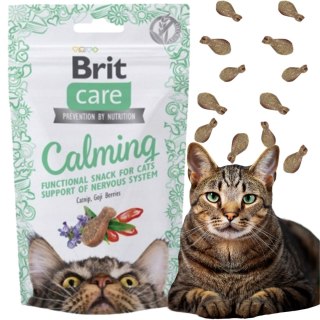 BRIT CARE CAT SNACK CALMING PRZYSMAK SMACZKI KOTA KOCIMIĘTKA USPOKAJAJĄ 50G