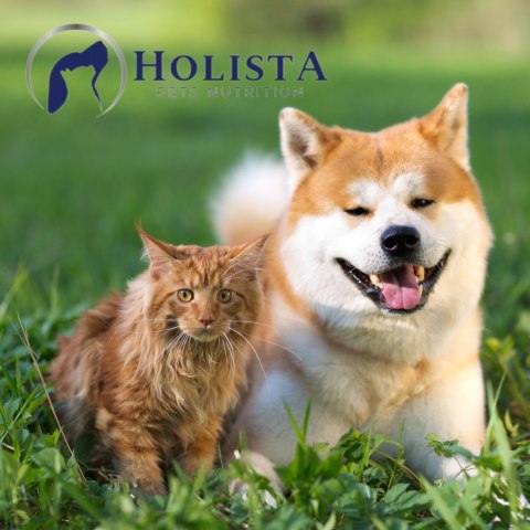 WITAMINY DLA PSA I KOTA HOLISTA BIO CISTUS HERB 100 G CZYSTEK NA KLESZCZE WITAMINY DLA PSA I KOTA HOLISTA BIO CISTUS HERB 100 G CZYSTEK NA KLESZCZE
