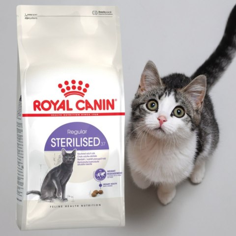 SUCHA KARMA DLA KOTA Royal Canin FHN Sterilised 2 kg dla kotów STERYLIZOWANYCH SUCHA KARMA DLA KOTA Royal Canin FHN Sterilised 2 kg dla kotów STERYLIZOWANYCH