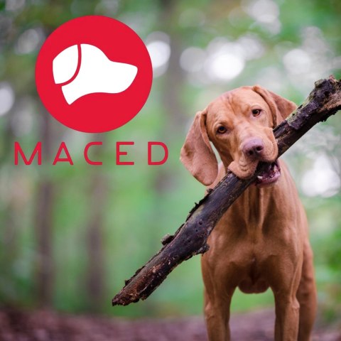 HARDER Z KACZKI - ROZMIAR M 2 SZT. TWARDY GRYZAK DLA PSA MACED PRZYSMAK HARDER Z KACZKI - ROZMIAR M 2 SZT. TWARDY GRYZAK DLA PSA MACED PRZYSMAK